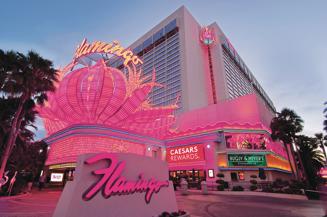 Flamingo Exterior